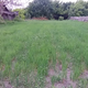 Grain grown inside Chernobyl’s Exclusion Zone.